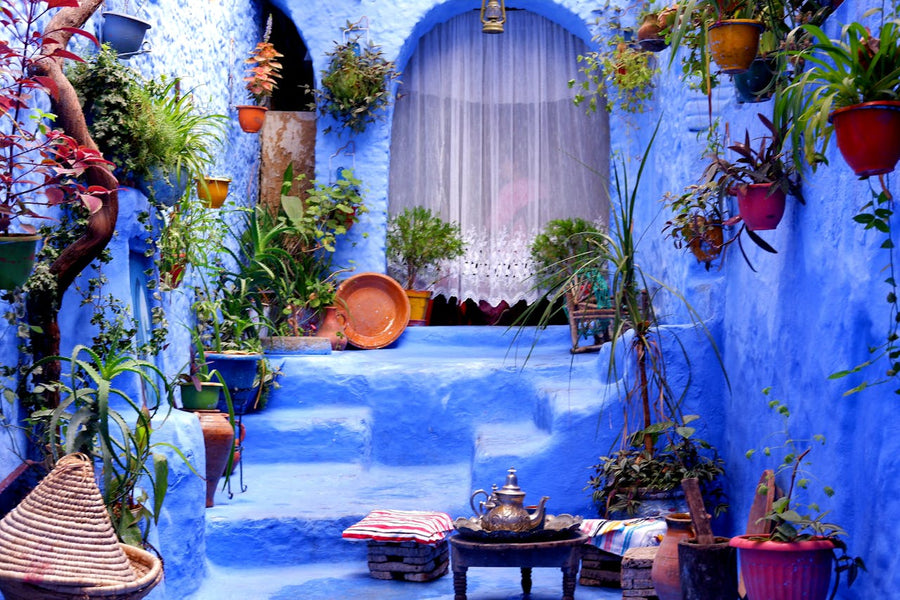 Excursión en grupo de 1 día desde Fez a Chefchaouen - Ciudad Azul