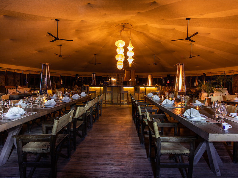 Cena y paseo en camello por el desierto de Agafay