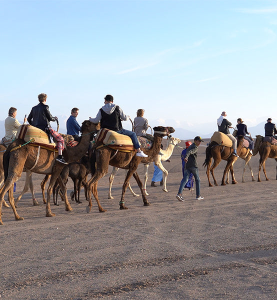 Almuerzo en campamento de lujo en el desierto de Agafay