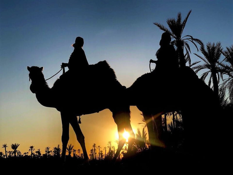 excurciones marrakech desierto 1 día