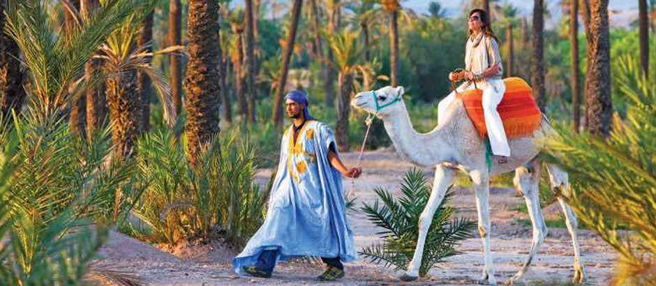 Paseo en camello en Marrakech