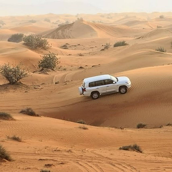 Circuito 4x4 por el desierto de Erg Chegaga