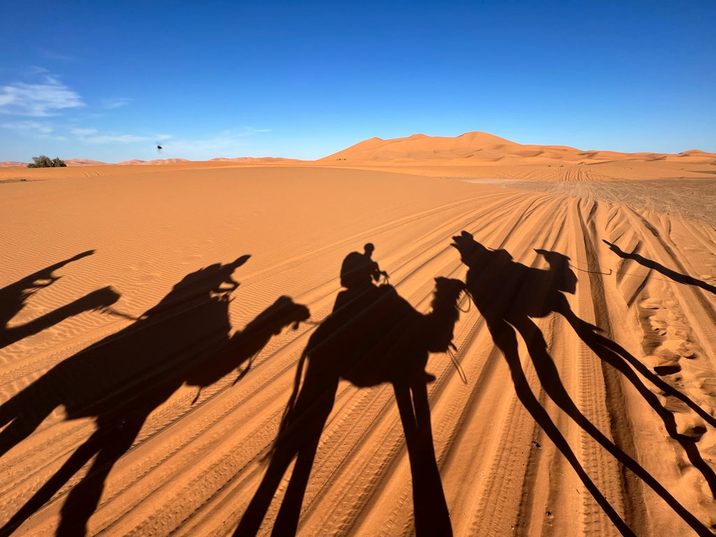 excursion al desierto desde marrakech