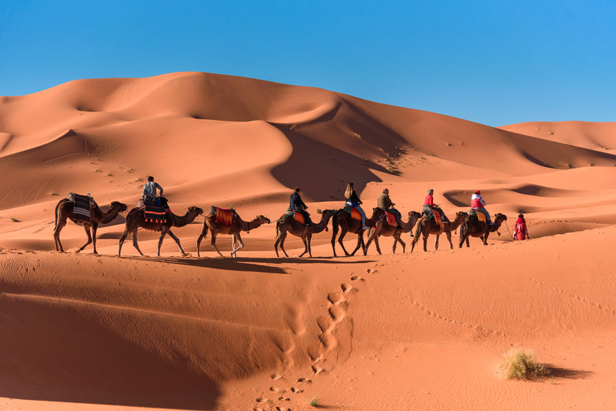 Excursión privada por el desierto de Merzouga de Fez a Marrakech