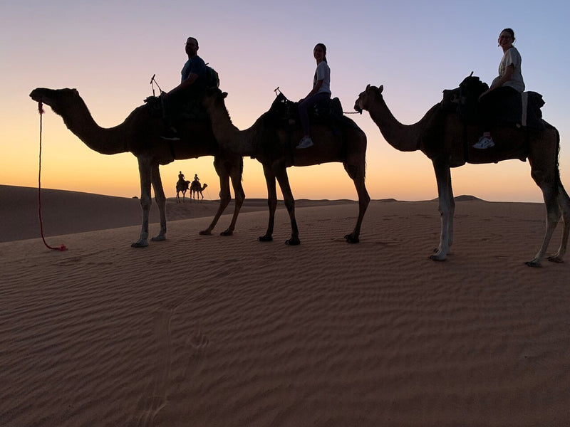 Tour desierto Marrakech