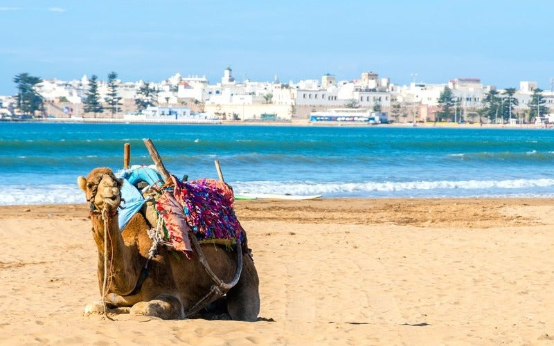 Excursión 1 dia desde Marrakech a Essaouira