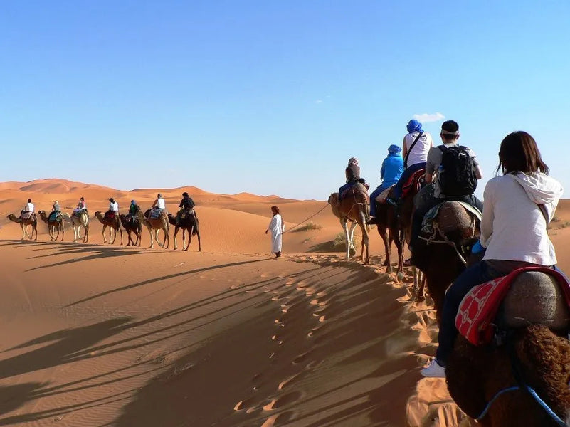 Excursión compartida de 2 días al desierto de Marrakech a Zagora