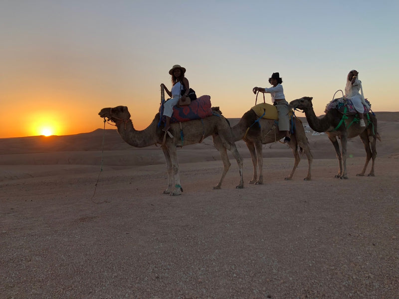 Paseo en camello al atardecer en el desierto de Agafay desde Marrakech